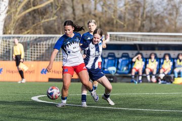Bild 238 - wBJ Hamburger SV - Hertha BSC : Ergebnis: 2:1